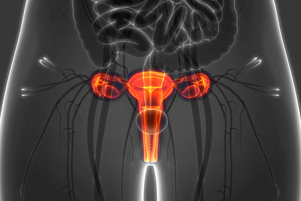 Gynecological DIsorder treatment by best homeopathy doctor in kolkata